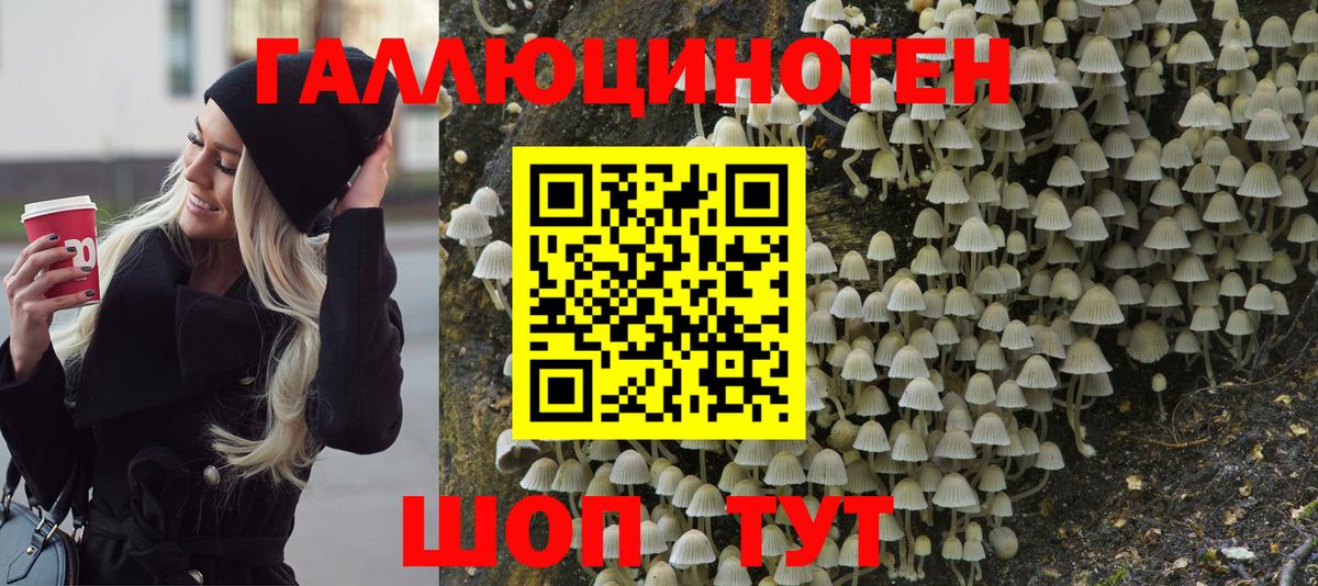 Галлюциногенные грибы Cubensis  Вход с VPN  Великие Луки  Псилоцибиновые грибы прущие грибы 