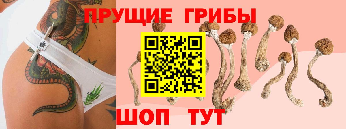 Галлюциногенные грибы Magic Shrooms Великие Луки